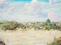 Duinlandschap Duinlandschap