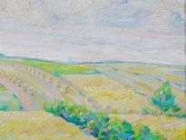 Landschap bij Havelte Landschap bij Havelte